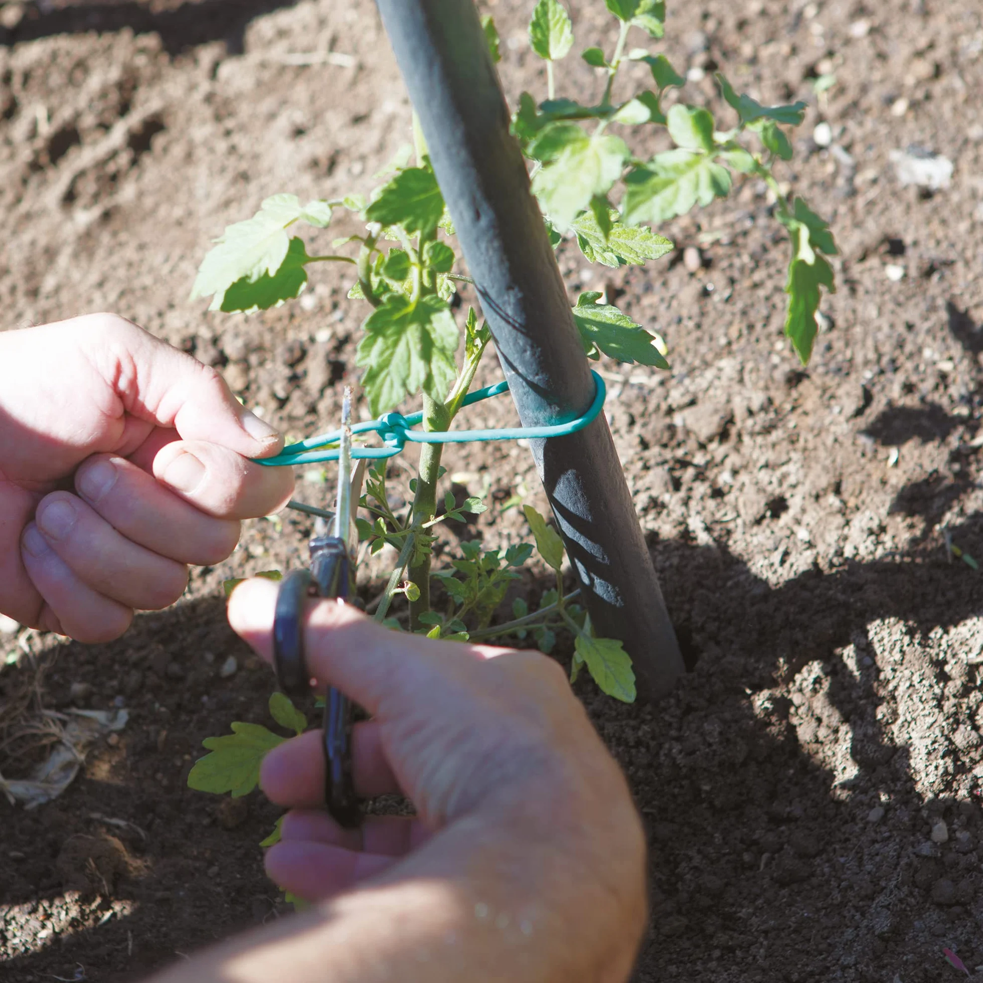 TENAX Tubetto Agricolo in PVC Verde Ø 2 mm 1000 g Legaccio per Piante Giardinaggio Orto Vigneto 240 m