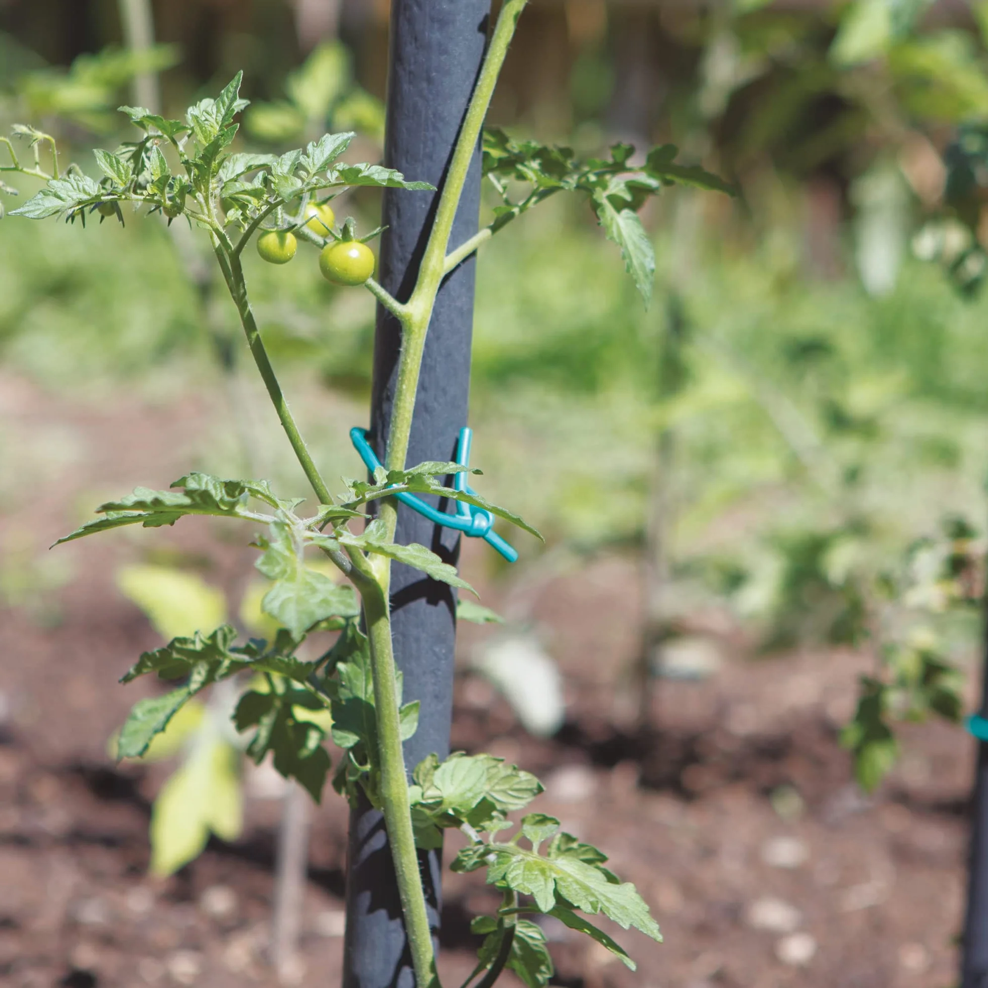 TENAX Tubetto Agricolo in PVC Verde Ø 2 mm 1000 g Legaccio per Piante Giardinaggio Orto Vigneto 240 m