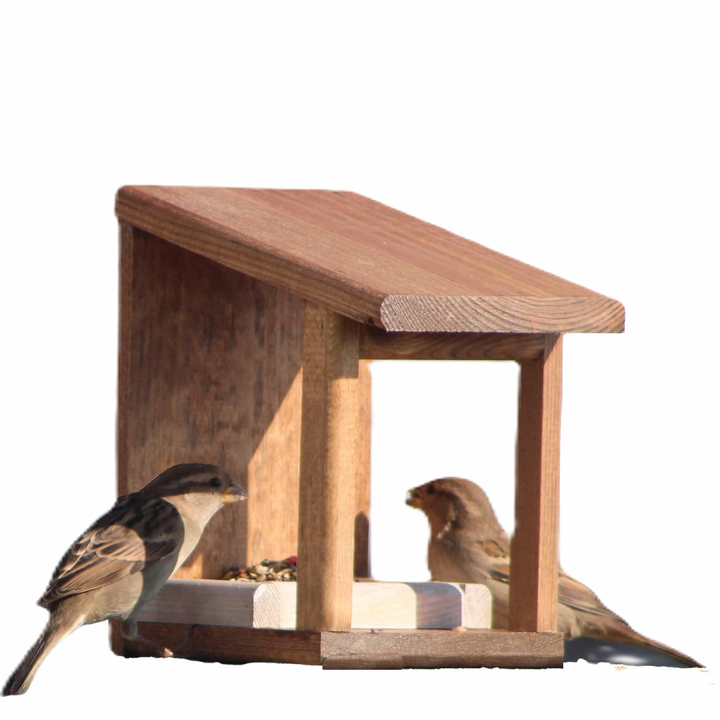 Mangiatoia per Uccelli in Legno Naturale da Giardino con Trattamento Anti-Umidità e Semi Inclusi