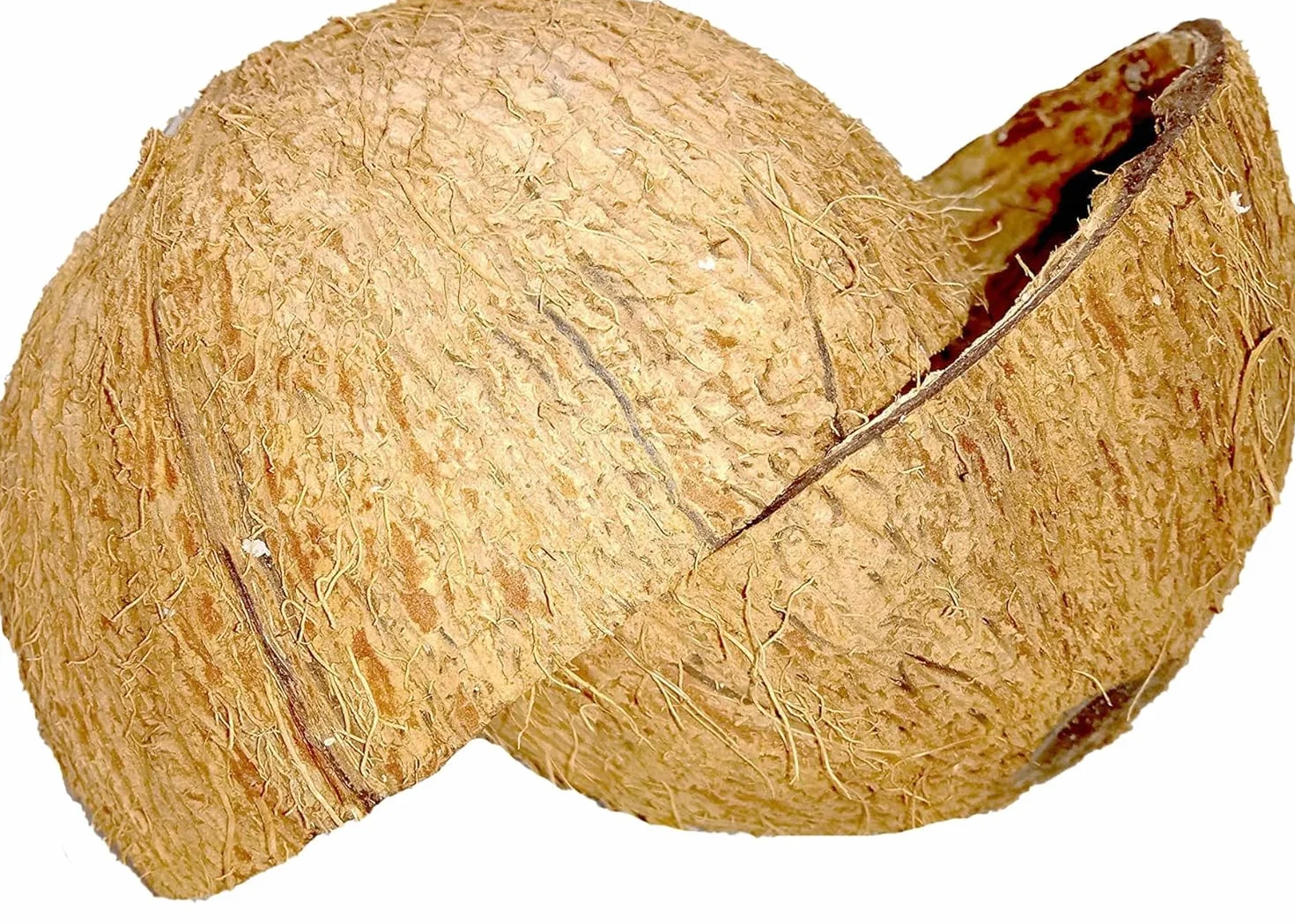 2 pezzi di noce di cocco a metà/Eco-Friendly Ceylon 100% naturale noce di cocco biologico metà per guscio di cocco artigianale fatto a mano / 2 pezzi HALVES