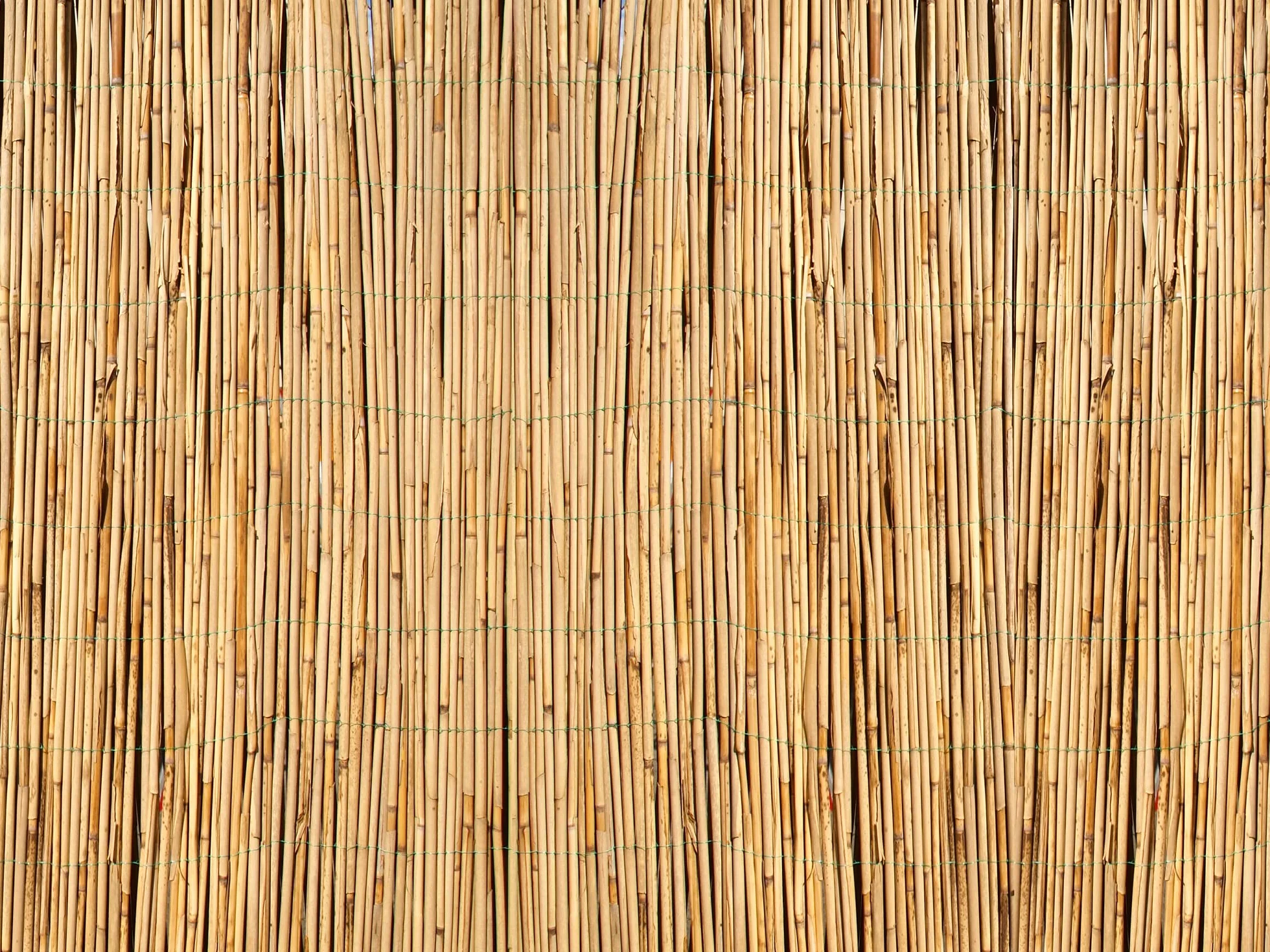 IlGruppone Arella in bambù per Recinzioni Stuoia Canne di Bamboo Frangivento Frangivista Naturale Giardini Balconi Schermo Privacy Ombreggiante - Naturale - 1,5x5 M