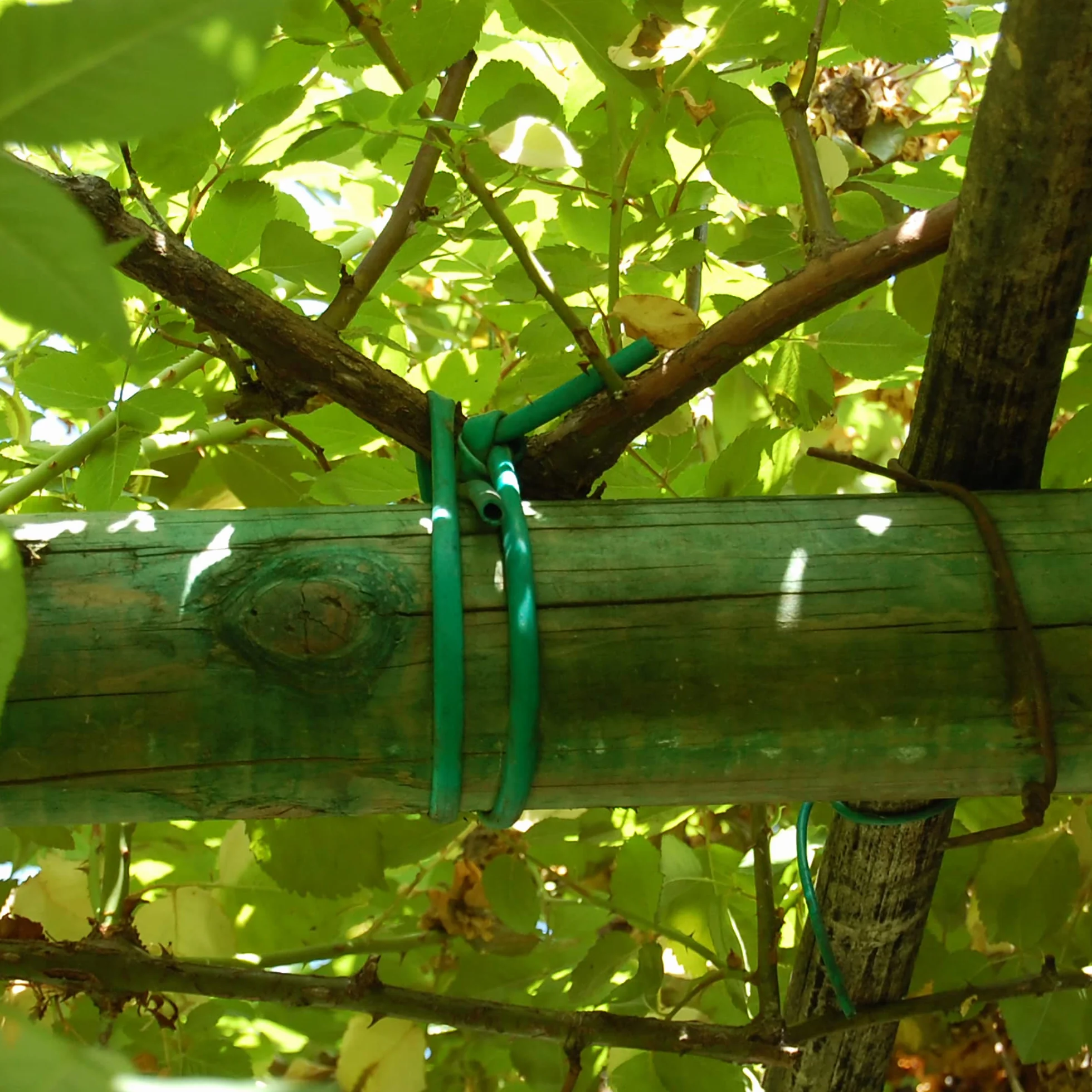 TENAX Tubetto Agricolo in PVC Verde Ø 2 mm 1000 g Legaccio per Piante Giardinaggio Orto Vigneto 240 m