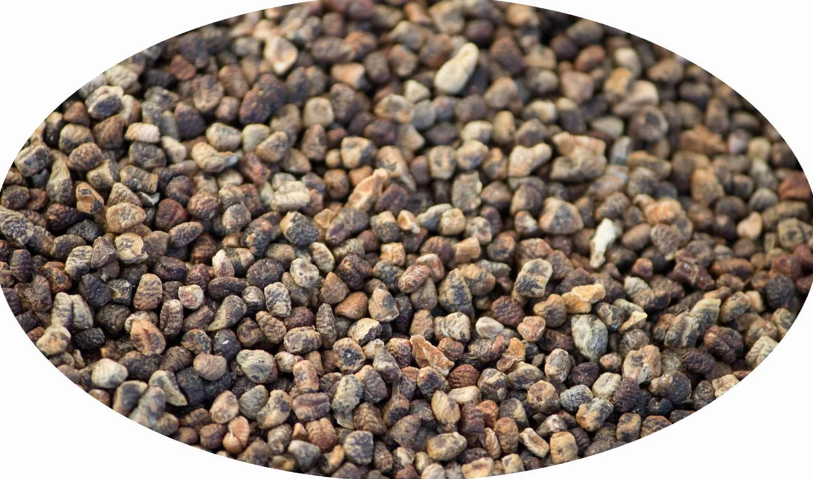 Eder Gewürze - Cardamomo nero - 1kg