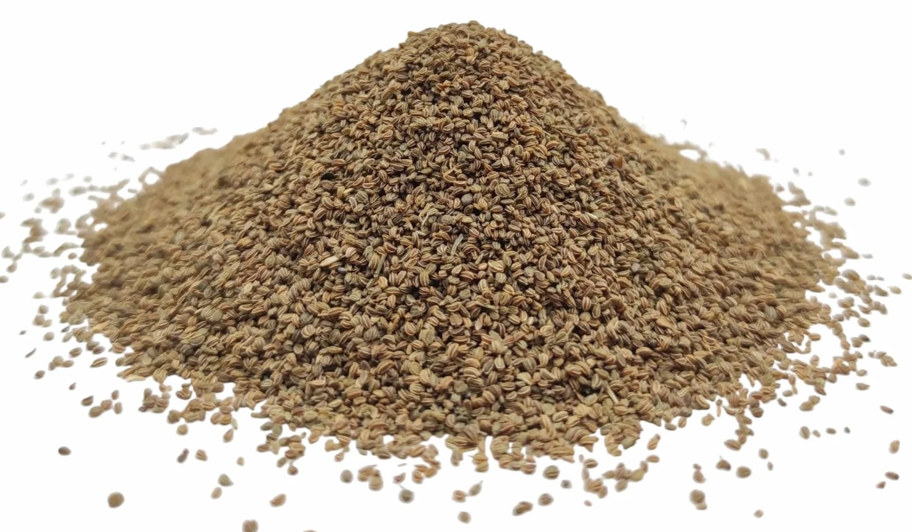 Semi Di Sedano Interi Essiccati 85g - 1.95Kg Apium Graveolens (220 grammi)