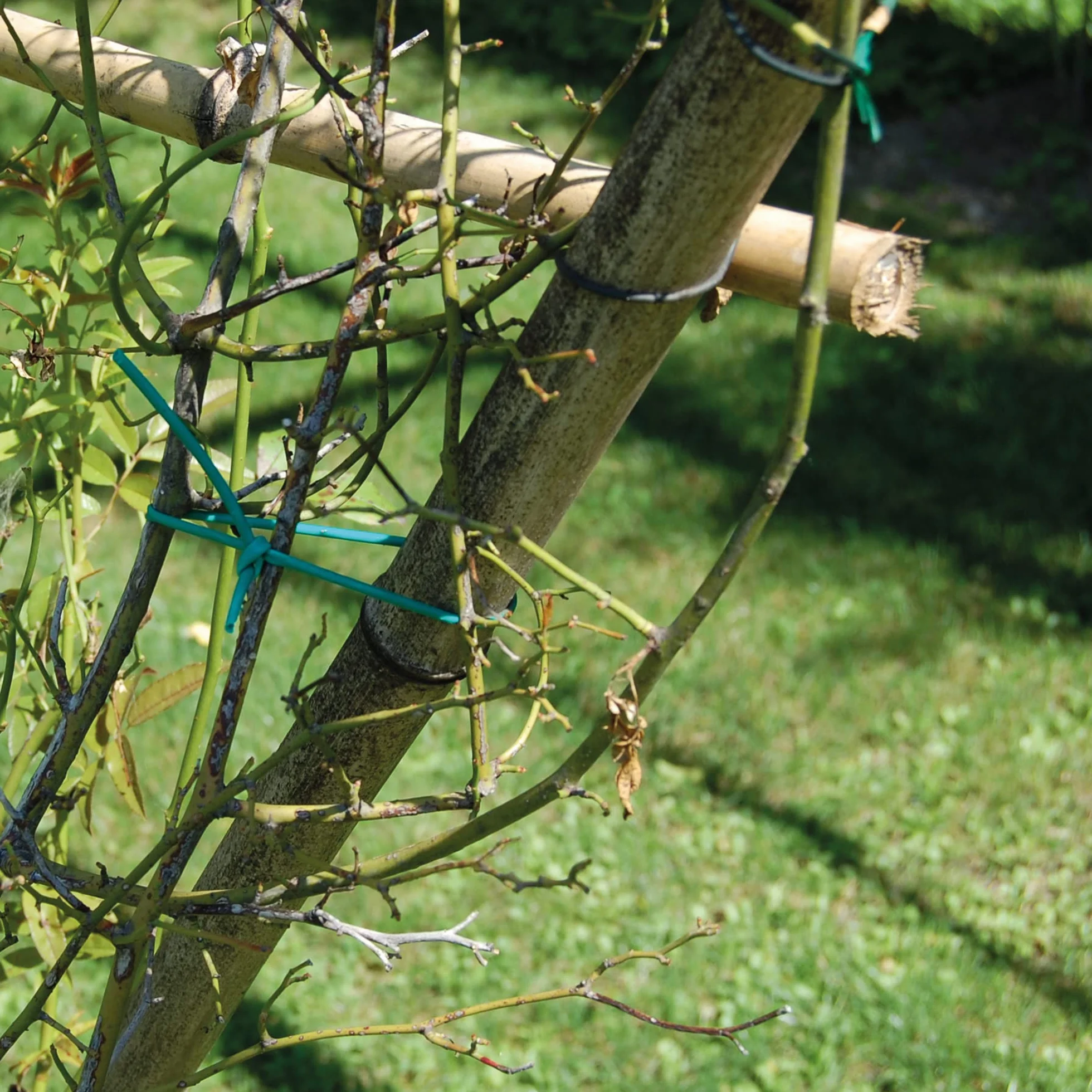TENAX Tubetto Agricolo in PVC Verde Ø 2 mm 1000 g Legaccio per Piante Giardinaggio Orto Vigneto 240 m