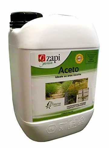 ZAPI Aceto Concentrato Bio Lt.5
