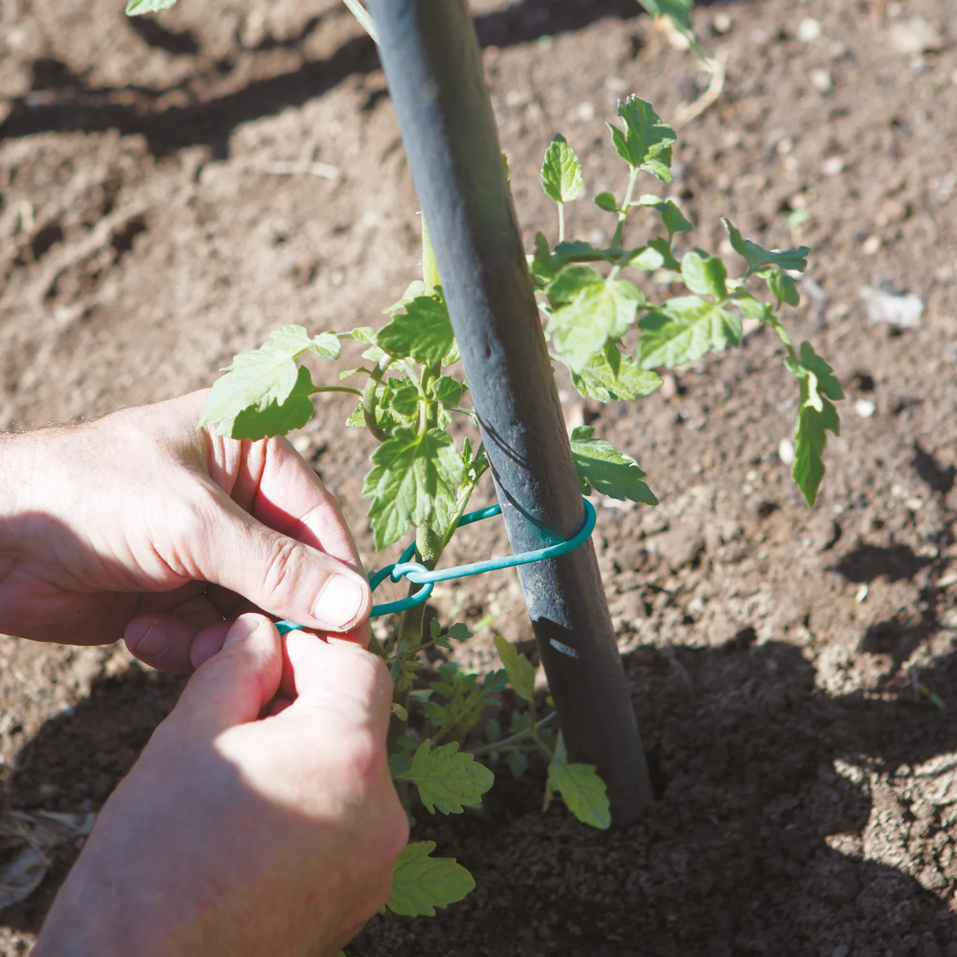 TENAX Tubetto Agricolo in PVC Verde Ø 2 mm 1000 g Legaccio per Piante Giardinaggio Orto Vigneto 240 m