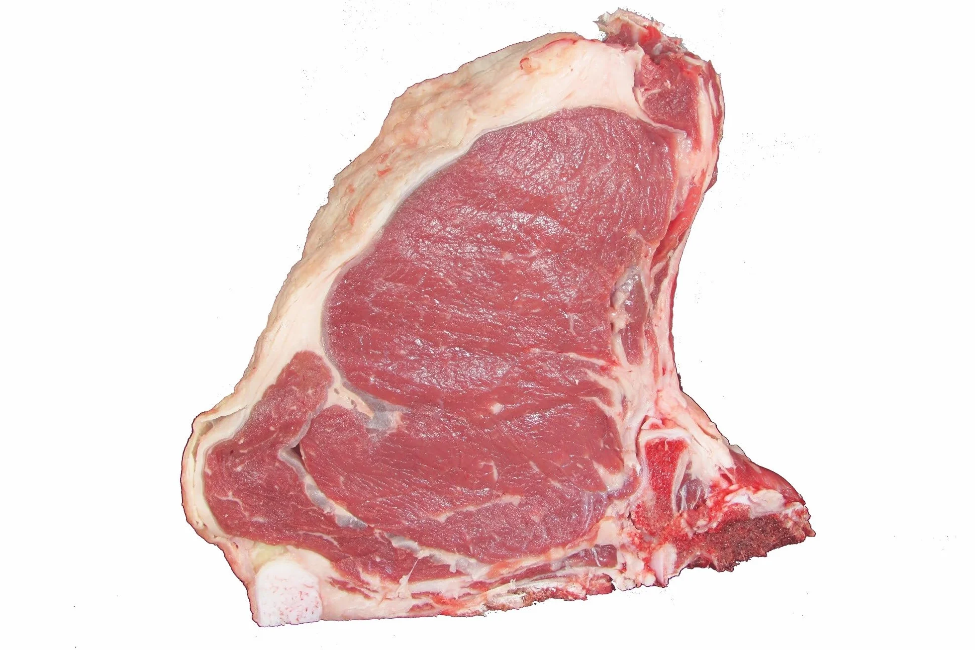 Tomahawk Bistecca con Osso 1.5 Kg Bistecca Intera Sottovuoto