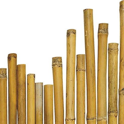 arredogiardini.it N° 50 Canne Bamboo bambù cm 210 x Ø mm 20-22 per Piante,Agricoltura,orto,arredi,strutture,Decorazioni