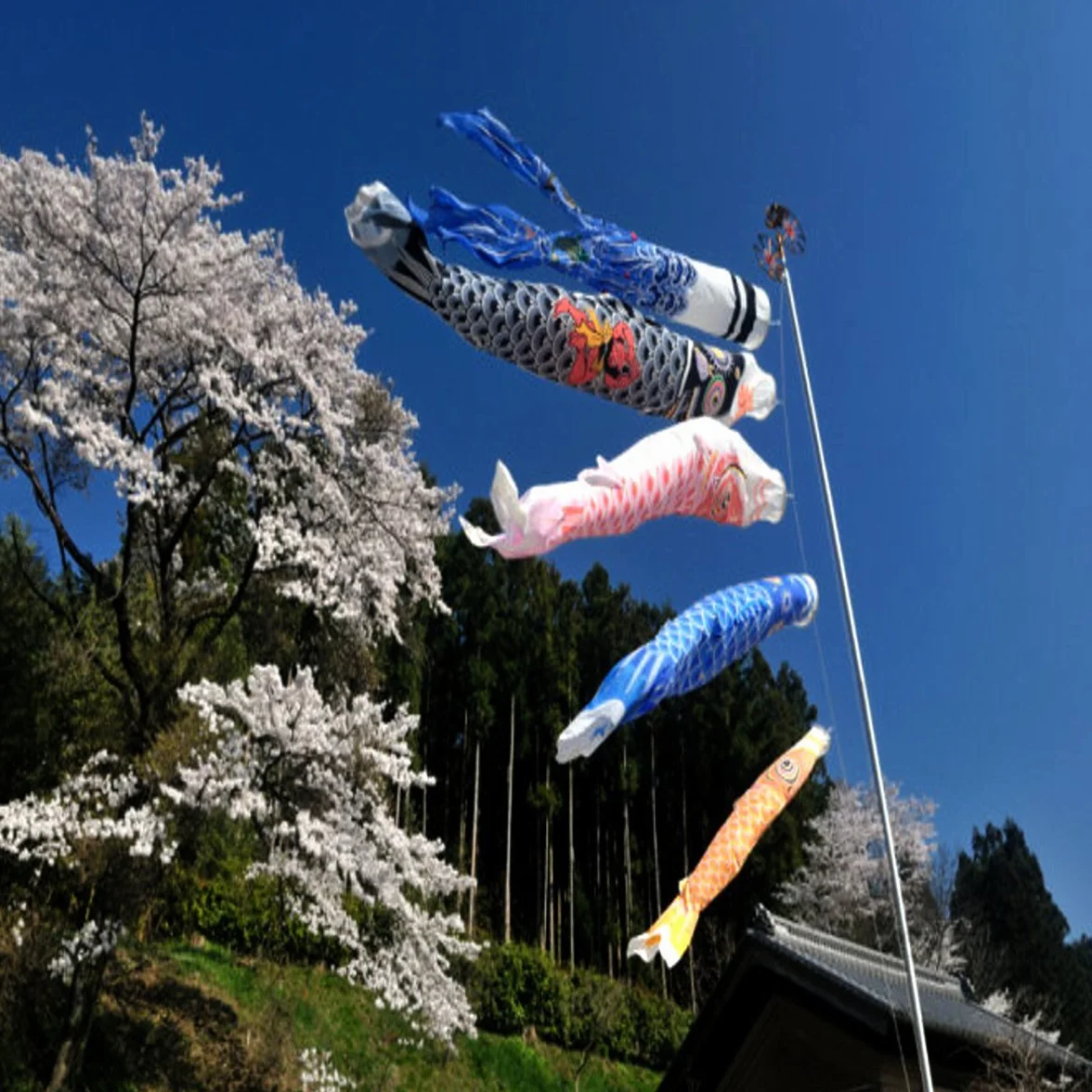 1 Set 5 Pezzi Bandiera Giapponese Carp Carp Banner Windsock Sailfish Koinobori Vento Streamer Muticolor Pesce