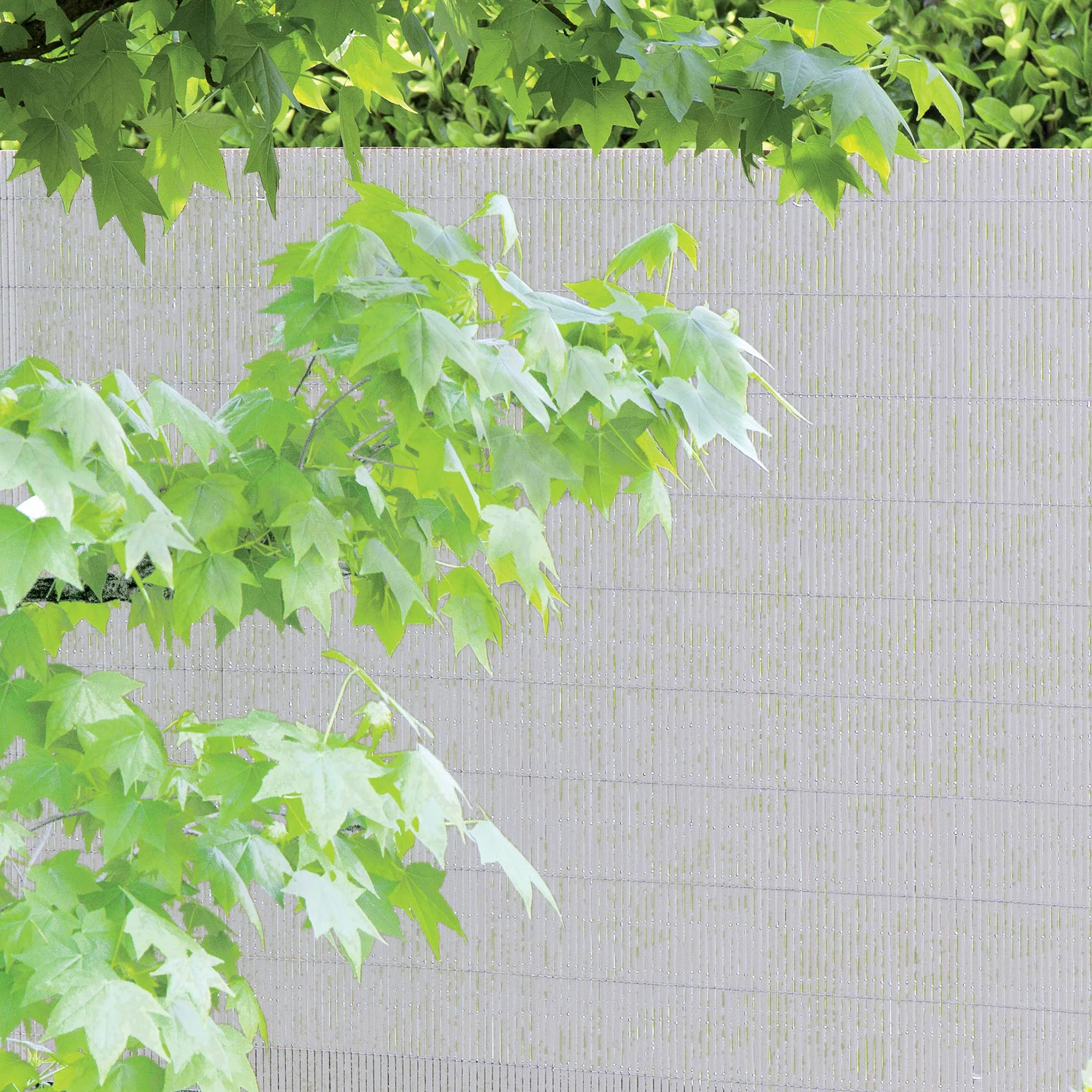 TENAX Colorado 1,00x5 m Bianco, Canniccio Sintetico a Canne Intere da 7mm, Schermante Frangivista in PVC per Giardino, Balcone e Terrazza