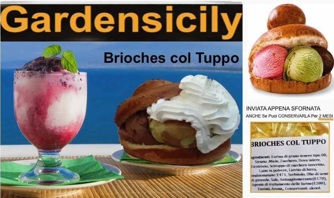 Brioche Siciliane Fresche Inviate sempre APPENA SFORNATE (confezione 24 pz.) per Gustare un Gelato o Una Granita con il vero gusto di Sicilia by Hobby City