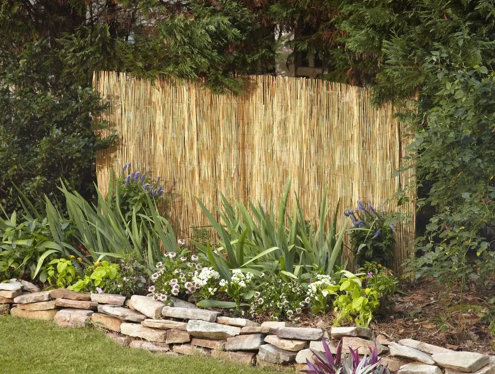 IlGruppone Arella in bambù per Recinzioni Stuoia Canne di Bamboo Frangivento Frangivista Naturale Giardini Balconi Schermo Privacy Ombreggiante - Naturale - 1,5x5 M