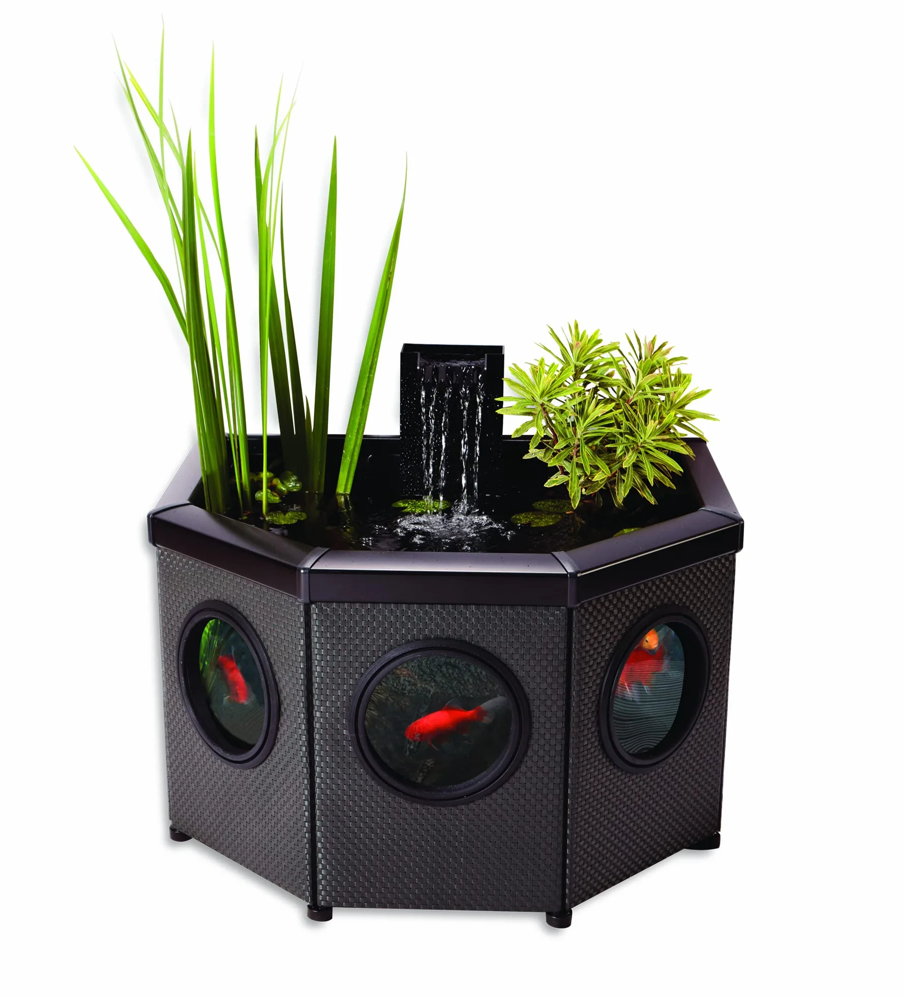 Aquagarden, Affinity, Kit Completo per laghetto Alto con finestre, a Forma di Mezzaluna, Piscina con Gioco d'Acqua, tra Cui Inpond 5 in 1 2000 Pompa dell'Acqua e Stagno con chiarificatore UV, Tre