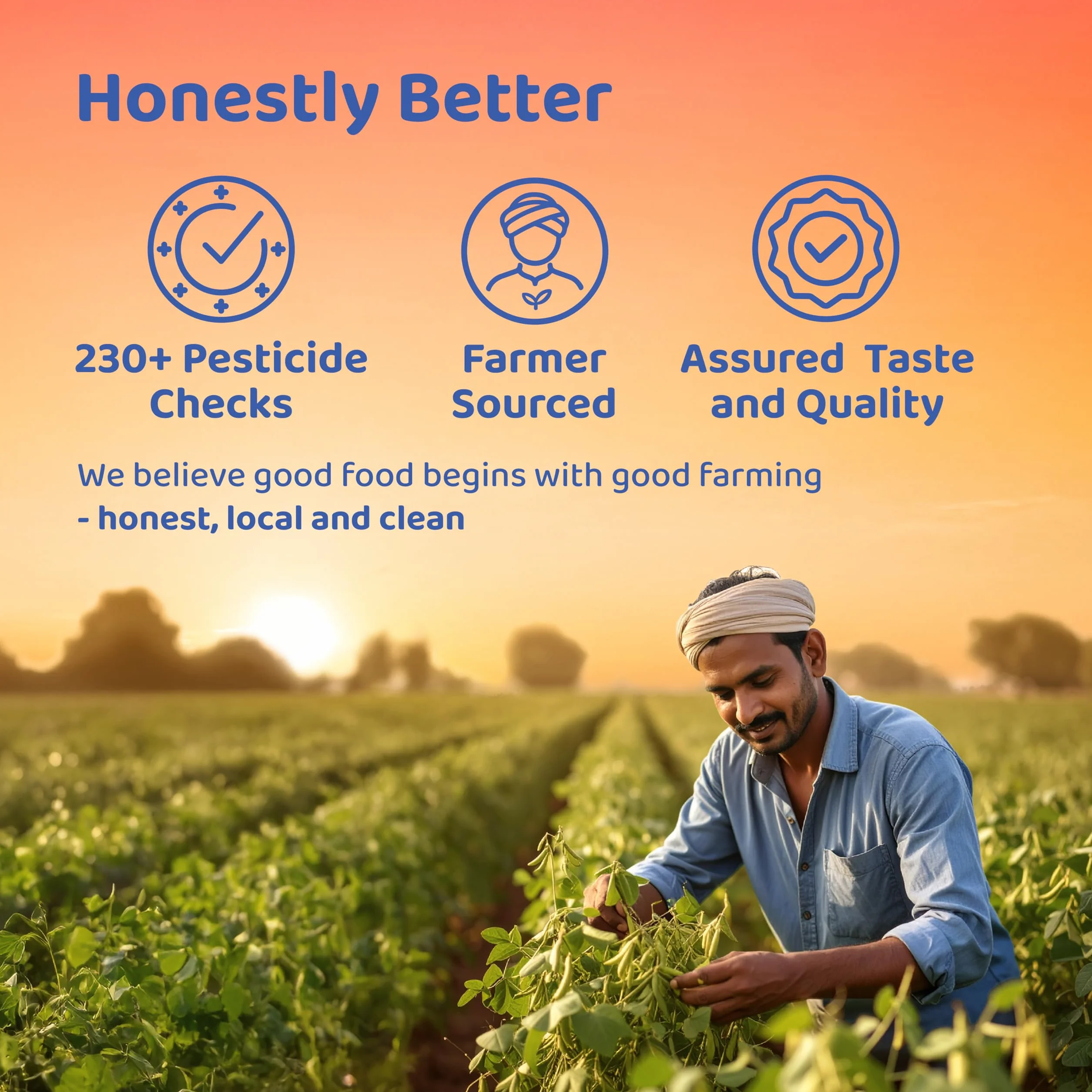 Dehaat Honest Farms Cardamomo Nero Senza Pesticidi 30 Gm. - Intero